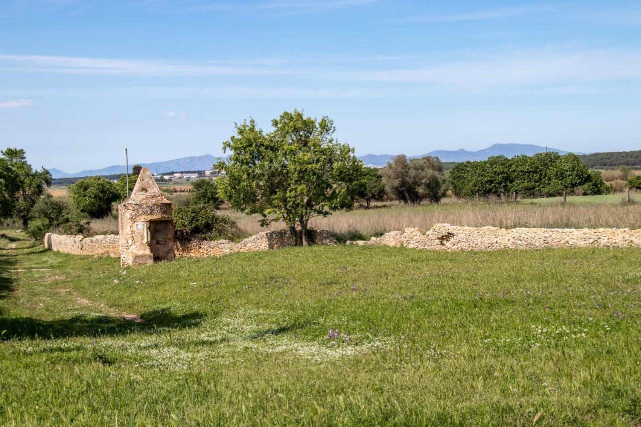 Ocells De Montgri Apartamento Rural En El Emporda Sobrestany Dış mekan fotoğraf